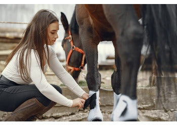 How to care for your horse's joints