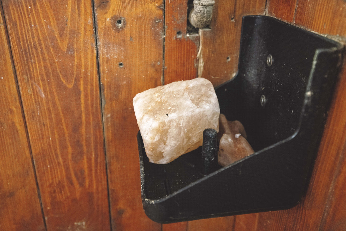 Why is a salt lick a stable essential?