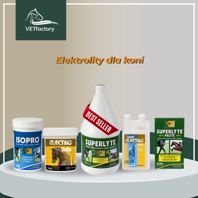 Powdered electrolytes for horses - when and why to use them