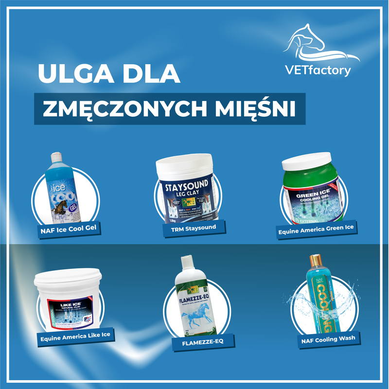 Żel chłodzący czy glinka chłodząca? Jak zadbać o regenerację konia?