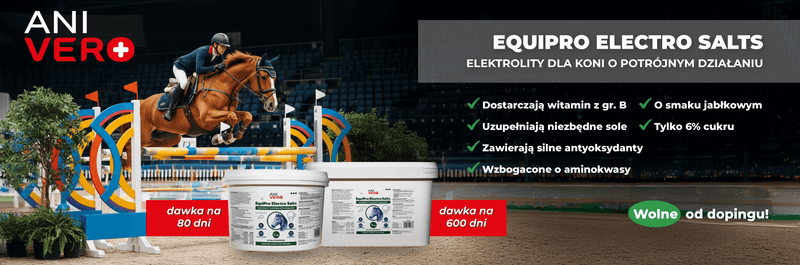 Why are electrolytes essential for your horse?