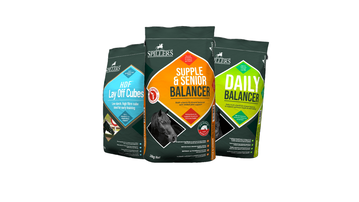 Pasze Spillers: HDF Lay Off Cubes, Supple & Senior Balancer, Daily Balancer