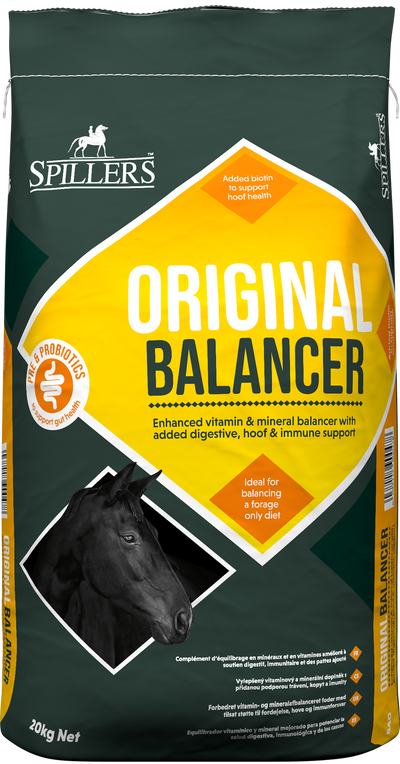 SPILLERS Original Balancer 20kg