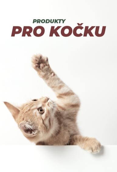 [Kočky] Pravý panel na stránce 