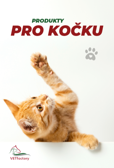 [Kočky] Pravý panel na stránce 