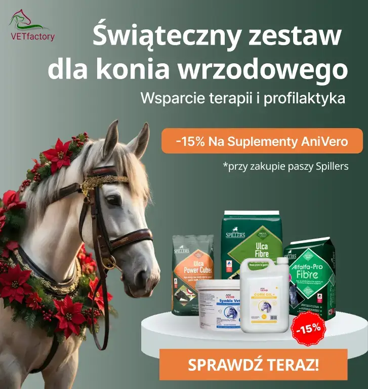 Świąteczne Wsparcie dla Koni Wrzodowych