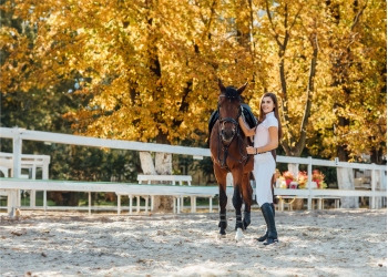 OPIEKA NAD KONIEM STARSZYM, czyli geriatryczne co i jak