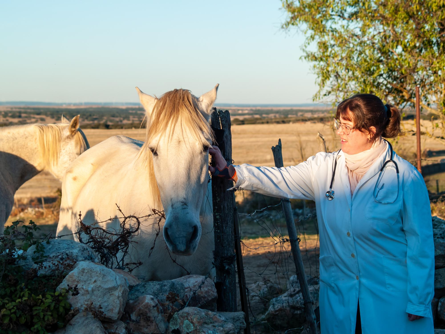 Don't underestimate diarrhea in your horse! May be a symptom of a serious disease