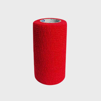 ProWrap Self-Adhesive Bandage 10 x 450 cm Red