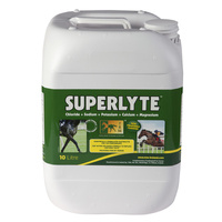 TRM Superlyte Syrup - elektrolity w płynie dla koni